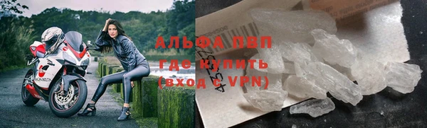 стаф Вязьма