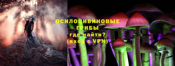 мет Вяземский