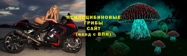 стаф Вязьма