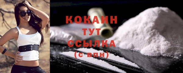стаф Вязьма
