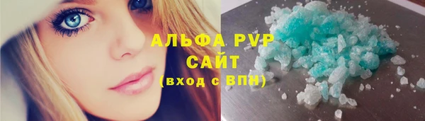 стаф Вязьма