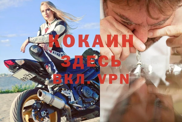 стаф Вязьма