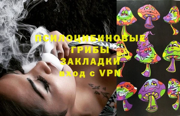 мет Вяземский