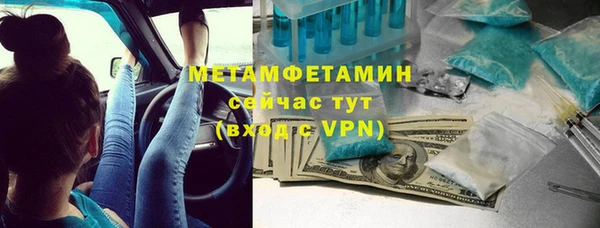стаф Вязьма